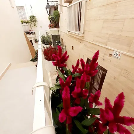 Palazzo Scianni 4*